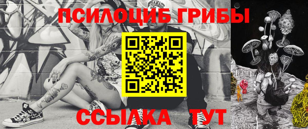 Переславль-Залесский  Псилоцибиновые грибы прущие грибы  Вход с VPN 